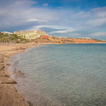 Apartment Amazing In With Wifi Orihuela